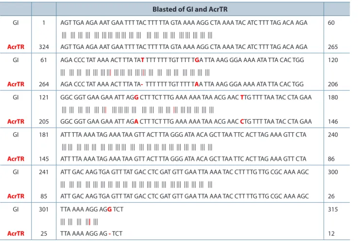Table 3. BLAST result between genetic group I (GI) DNA sequences and AcrTR (accession number AJ277598)