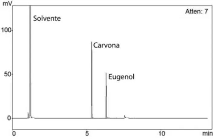 Figura 1. Aparato experimental para extração por arraste de vapor