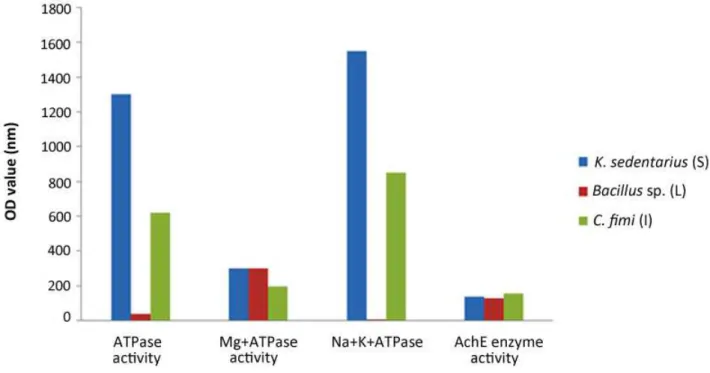 Figure 1. In vitro effect of toxin on mouse brain total ATPase, Mg + -ATPase, Na + -K + -ATPase and AchE enzyme  activity.