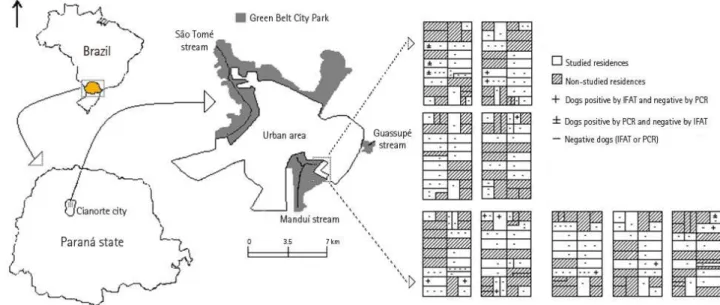 Figure 1. Location of Cianorte city, Paraná, Brazil. The study area and the analyzed  dogs are indicated according to the results of the immunofluorescent antibody test  (IFAT) and polymerase chain reaction (PCR)