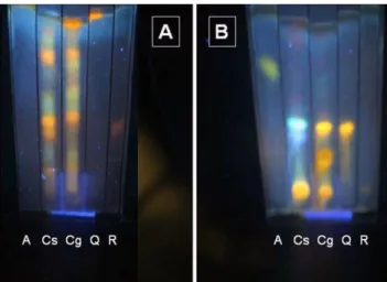 Figure  2  shows  the  bioassays  on  the  muscle  activity  of  mouse  phrenic  nerve-diaphragm  preparations  using  0.05,  0.1,  1  and  2  mg/mL  (or  0.25,  0.5,  5  and  10  mg,  respectively)  Cg  hydroalcoholic extract over 120 minutes