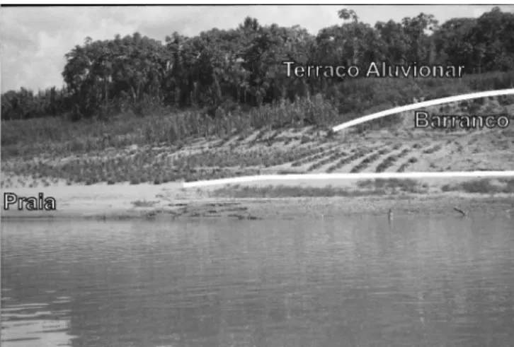 Figura 1. Praia (barra em pontal) exposta no período de estiagem, parcial- parcial-mente abarrancada e situada na margem direita do rio Iaco, à jusante de  Sena Madureira - AC