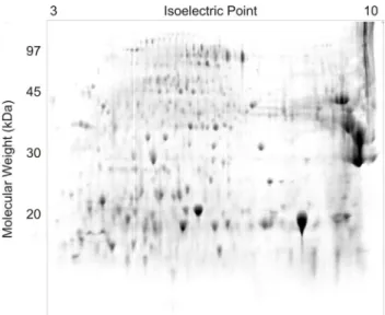 Figure 3. Peptide mass fingerprint spectrum from Matrix Assisted Laser Desorption Ionization (MALDI-ToF- (MALDI-ToF-ToF) mass spectrometry (AXIMA Performance®, Shimadzu, Japan)