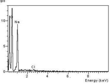 Figura 7S. Espectro EDX de cloridrato de N,N,N-trimetilquitosana