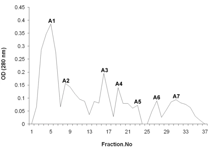 Figure 5. The fractions under A in the anion-exchange chromatography were pooled  and fractionated by gel filtration chromatography at a flow rate of 40 mL/hour