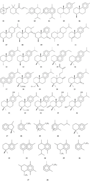 Figura  3.  Estruturas  químicas  dos  compostos  identificados  nos  âmbares  brasileiros