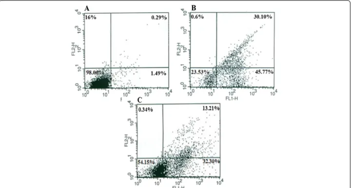 Figure 3 Characterization of BV and BV/Pd (II) complex-induced apoptosis in MOLT-4 cells by flow cytometry