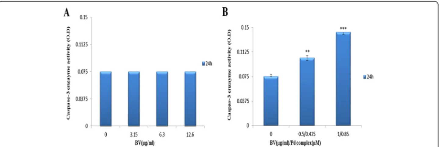 Figure 4 Results of caspase-3 enzyme activity assay. Cells treated (A) with BV and (B) with BV/Pd (II) complex