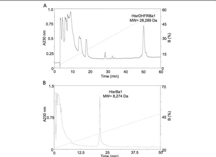 Fig. 3 rpHPLC separation of oxidized pQE40HisrDHFRBa1 or pET28HisrBa1 from affinity chromatography