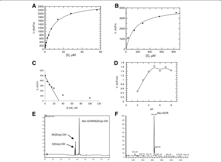 Figure 2 Enzymatic characterization of the spine extract. Kinetic data of velocity over concentration of substrate, after the incubation of spine aqueous extract (12 μg) with (A) Z-R-MCA and (B) Abz-GIVRAK(Dnp)-OH