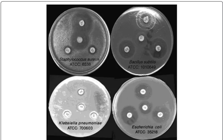 Table 2). All tested bacterial strains were found to be sus- sus-ceptible to the venom and among them, B
