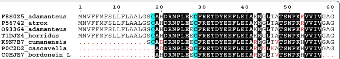 Fig. 3 Multiple sequential alignment of snake venom L-amino acid oxidases from the genus Crotalus