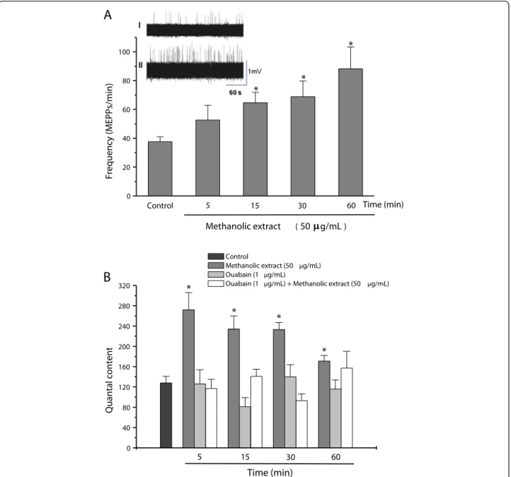 Figure 2 Electrofisiological measurements in PND preparations. (A) Changes in the frequency of miniature end-plate potentials (MEPPs) in phrenic nerve-diaphragm preparations incubated with a methanolic extract of R