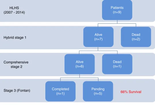 Figure 1 Clinical outcomes of patients who underwent the hybrid procedure. HLHS: hypoplastic left heart syndrome.