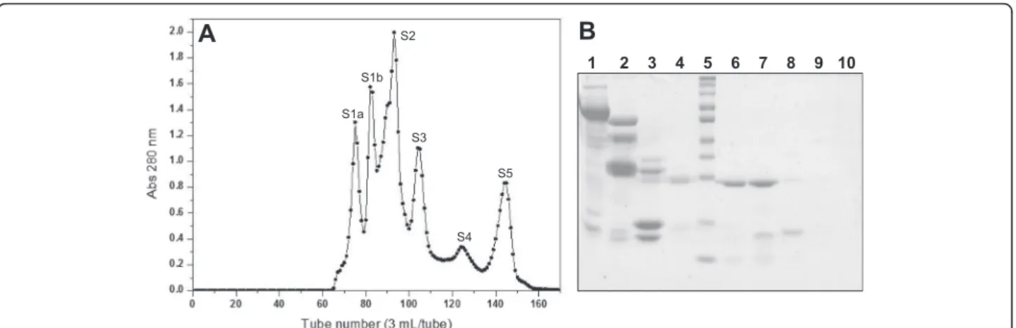 Fig. 1 a Chromatographic profile of the crude venom of B. atrox on a Sephacryl S-200 molecular exclusion column