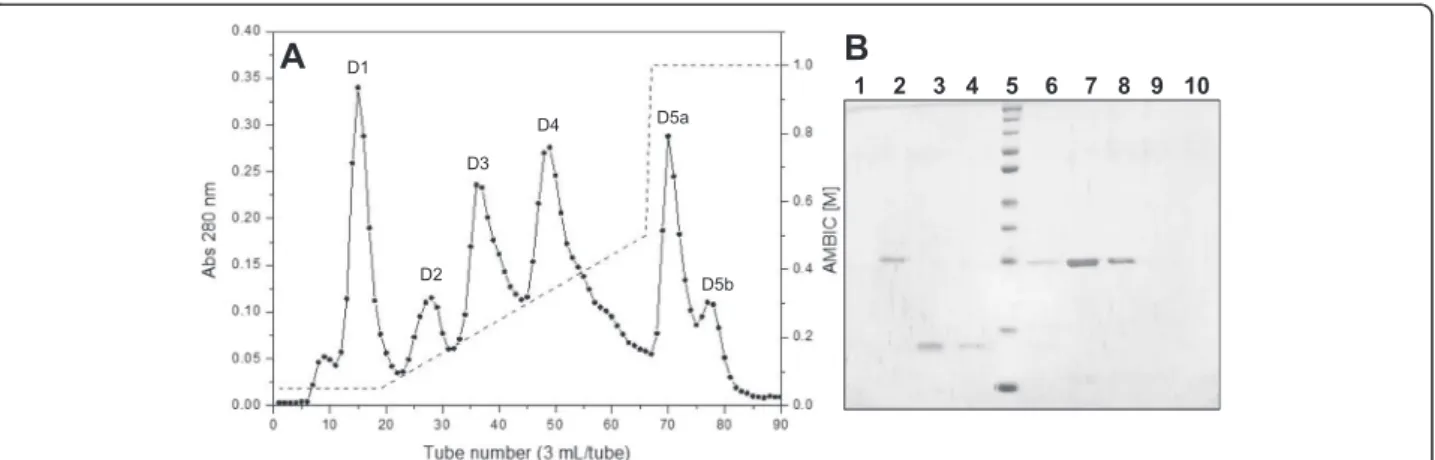 Fig. 2 a Chromatographic profile of fraction S3 on a DEAE Sepharose anion exchange column