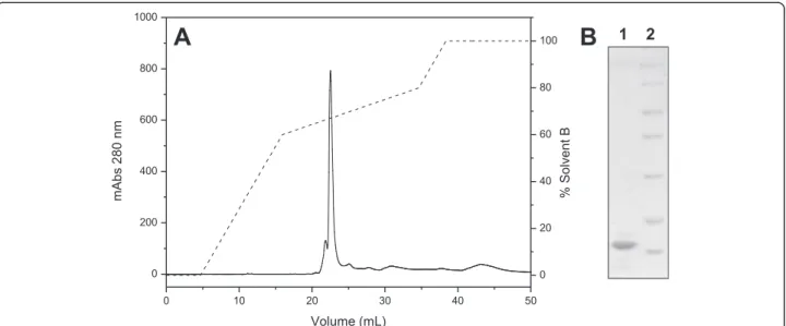 Fig. 4 a Chromatographic profile of fraction 6 on a C18 reverse phase column. Elution was performed using a RP-HPLC system at a flow rate of 0.5 mL/minute using a segmented concentration gradient of 0-60 % solvent B in three column volumes, 60-80 % in five