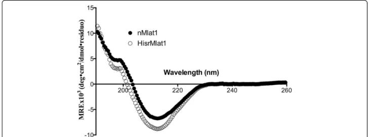 Fig. 4 Circular dichroism of native nMlat1 and recombinant HisrMlat1. Secondary structural analysis showed 4.7 and 9.7 % of α helix and 35.3 and 30.0 % of β strand for nMlat1 and HisrMlat1, respectively