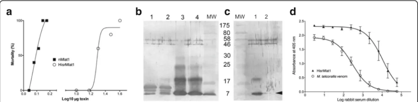 Fig. 5 Biological activity of native Mlat1 and HisrMlat1. a Dose-response of mice to intravenous injection of native Mlat1 and HisrMlat1