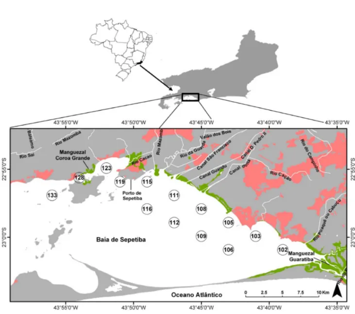 Figura 1S. Mapa da Baía de Sepetiba com os pontos de amostragem de sedimento. Áreas de ocupação urbana são representadas em vermelho  e de manguezais, em verde