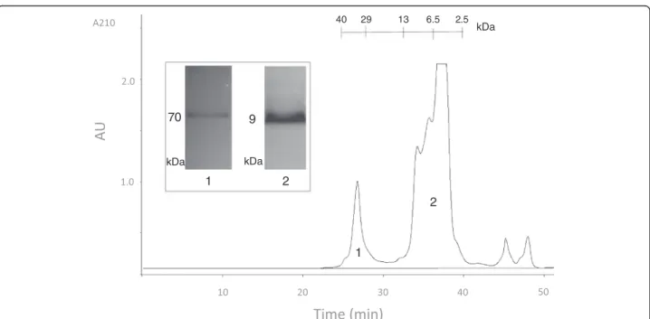Figure 3 Size exclusion chromatogram of L. abdullahbayrami venom. Retention times of protein standards are shown on top