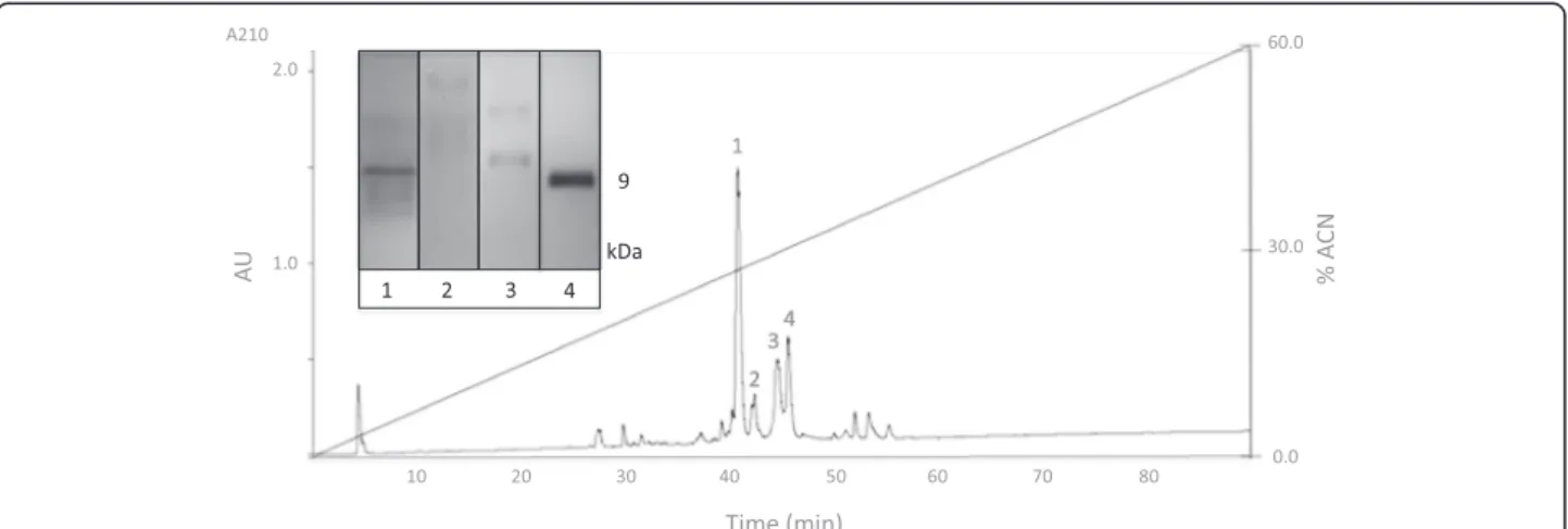 Table 1 summarizes the deconvoluted molecular weights