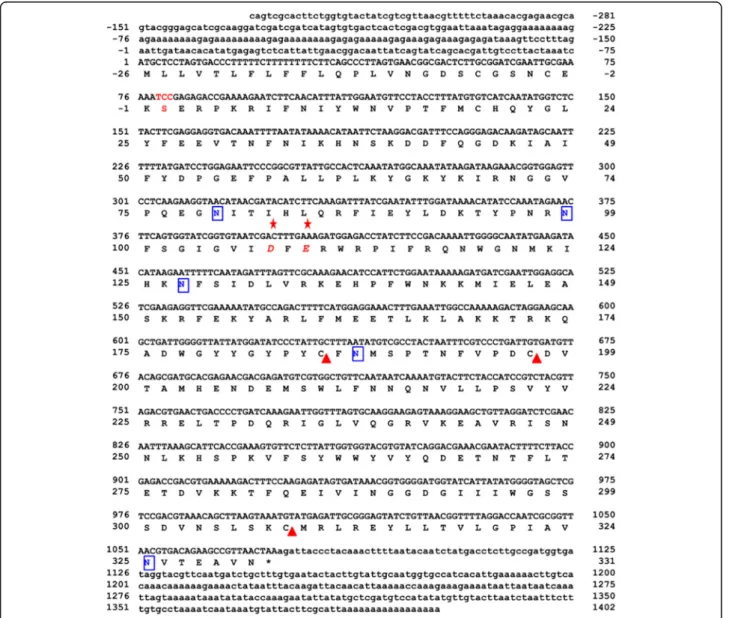 Fig. 2 The completed nucleotide sequence and deduced amino acid sequence of Vespa tropica HAase a (VesT2a)