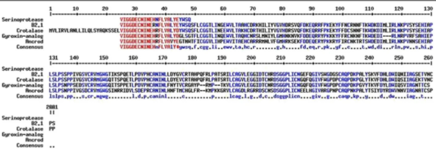 Fig. 7 LC-MS by ESI-ToF mass spectra (MicroQ-ToF III, Bruker Daltonics®). a Different protonated forms of gyroxin from Crotalus durissus terrificus