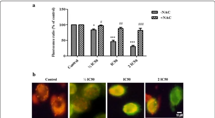 Fig. 8 Changes of mitochondrial membrane potential ( ΔΨ m) induced by F3 fraction in NCI-H358 cells