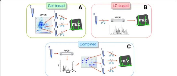 Fig. 1 General types of analytical bottom-up strategies employed in the proteomic profiling of snake venoms