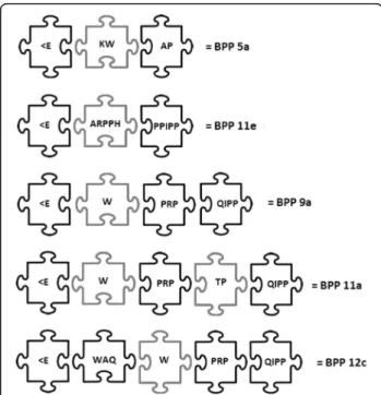 Fig. 1 Actual modular BPPs. In black: mandatory/optional pieces. In grey: additional residues
