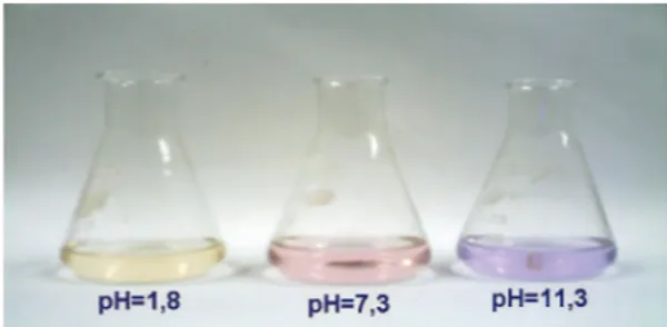 Figura 3. Variação na coloração das soluções de Me-BDBD na concentração  igual a 1,6 x 10 -3  mol/L, de acordo com valores de pH de máxima absorção