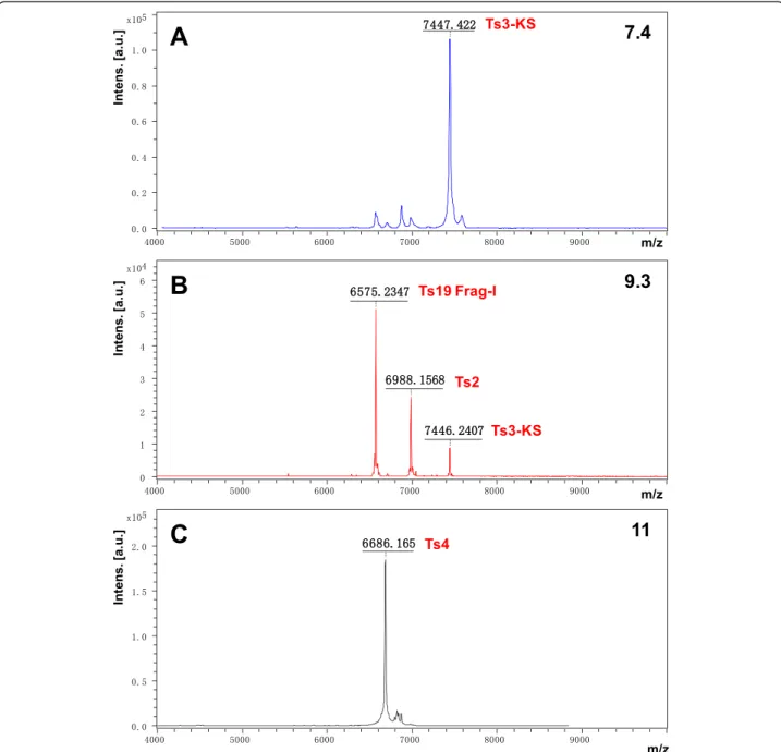 Fig. 3 Mass spectra of the peaks (a) 7.4, (b) 9.3 and (c) 11. The mass spectra were obtained by MALDI-TOF mass spectrometry in a positive linear mode using DHB matrix