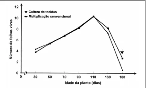 Figura 3. Matéria seca da parte aérea (a), raízes (b), bulbos (c) e total (d) de alho provenien- provenien-te de cultura de provenien-tecidos e multiplicação convencional, duranprovenien-te o desenvolvimento da  cultu-ra