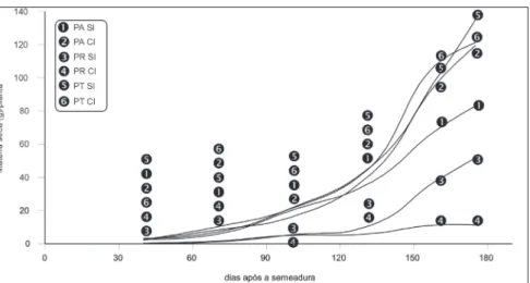 Figura 1. Peso da matéria seca acumulada na parte aérea (PA), raízes (PR) e total (PT) em plantas de feijão macuco tutoradas, com e sem inflorescências (CI e SI)