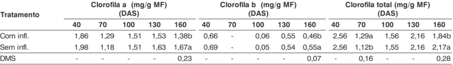 Tabela 4. Teores de clorofilas a, b e total em plantas de feijão macuco, obtidas em diferentes períodos após semeadura, em função da poda de inflorescências