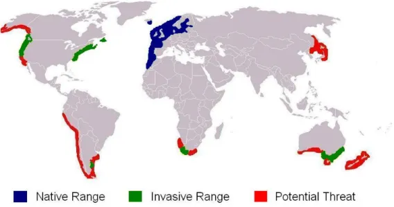 Fig.  I.4.  World  distribution  of  Carcinus  maenas,  the  native  and  invasive  ranges