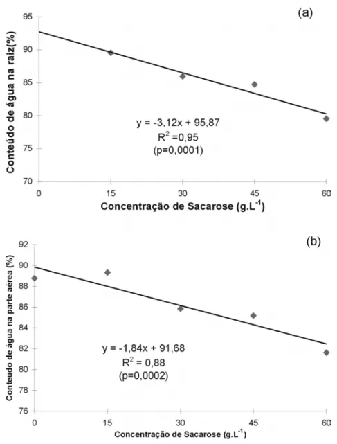 Figura 4. Conteúdo de água nos tecidos da raiz (a) e da parte aérea (b) em diferentes con- con-centrações de sacarose, na fase de enraizamento in vitro de morangueiro cv