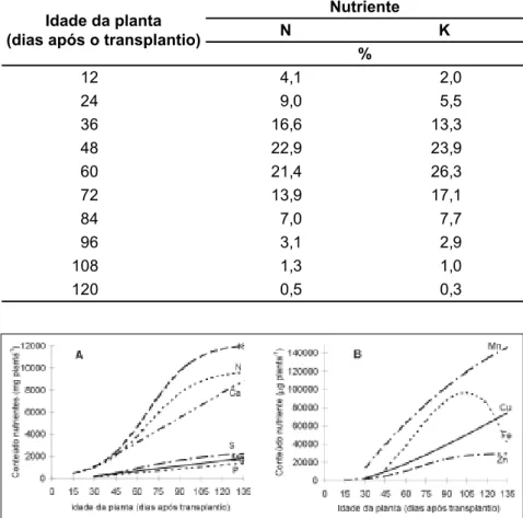 Figura 2. Conteúdo de macro (A) e de micronutrientes (B) na parte aérea total do tomateiro cultivado em ambiente protegido, híbrido EF-50, em função da idade