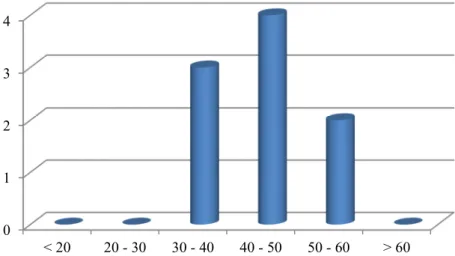 Gráfico 1 –  Distribuição dos trabalhadores por faixas etárias. 