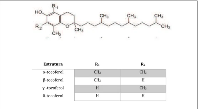 Figura 7 - Estrutura química dos tocoferóis presentes no azeite virgem.