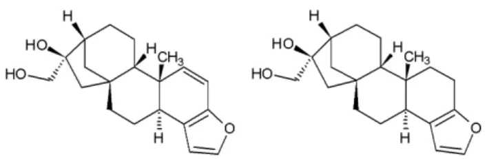 Figura 4. Estruturas químicas dos diterpenos kahweol (esquerda)  e cafestol  (direita)