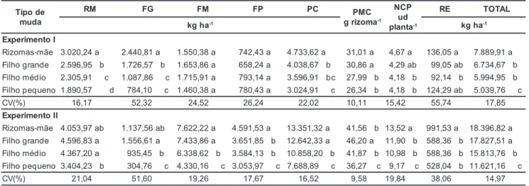 Tabela 1. Produção de rizomas-mãe (RM), de filhos grande (FG), médio (FM), pequeno (FP) e comerciáveis (PC), peso médio (PMC) e número de rizomas comerciáveis por planta (NCP) e produção de rizomas refugo (RE) e total (TOTAL), nos Experimentos I e II,  res