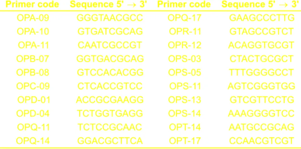 Figure 1. RAPD treatment 3 polymorphism detection for the Contenda cultivar. The genomic DNA of the Contenda cultivar (C-source plant) and the treatment 3 (T3) induced calli were amplified using the primers indicated on the top of the Figure