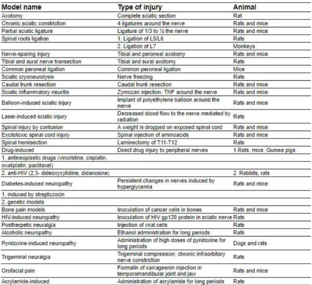 Table 1-List of different animal models of neuropathic pain (adapted from Jaggi, A.S., et al.2011) 74 