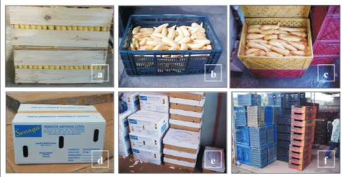 Figura 1. Embalagens utilizadas para acondicionar, transportar e comercializar raízes de mandioquinha-salsa no atacado: (a) caixa de madeira do tipo “K” de 27kg; (b) caixa plástica