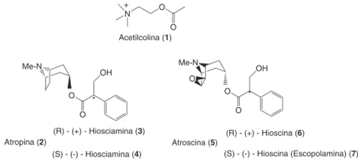 Figura 1. Estrutura da acetilcolina e de alguns alcaloides tropânicos