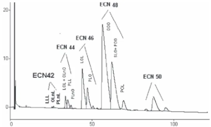 Figura 1. Perfil de triacilgliceróis de azeite de oliva virgem obtido por cromatografia líquida de alta eficiência com detector de índice de refração, coluna C-18 de 5  μm, fase móvel acetona:acetonitrila (1:1), fluxo 1,15 mL/