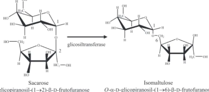 Figura 1. Isômeros da sacarose