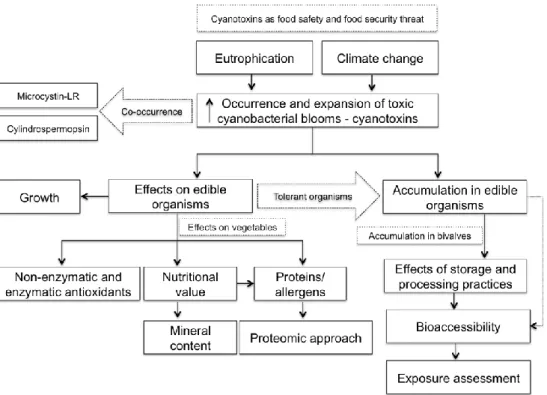 Fig. 1. Scheme of the logical progression of the topics included in this thesis. 